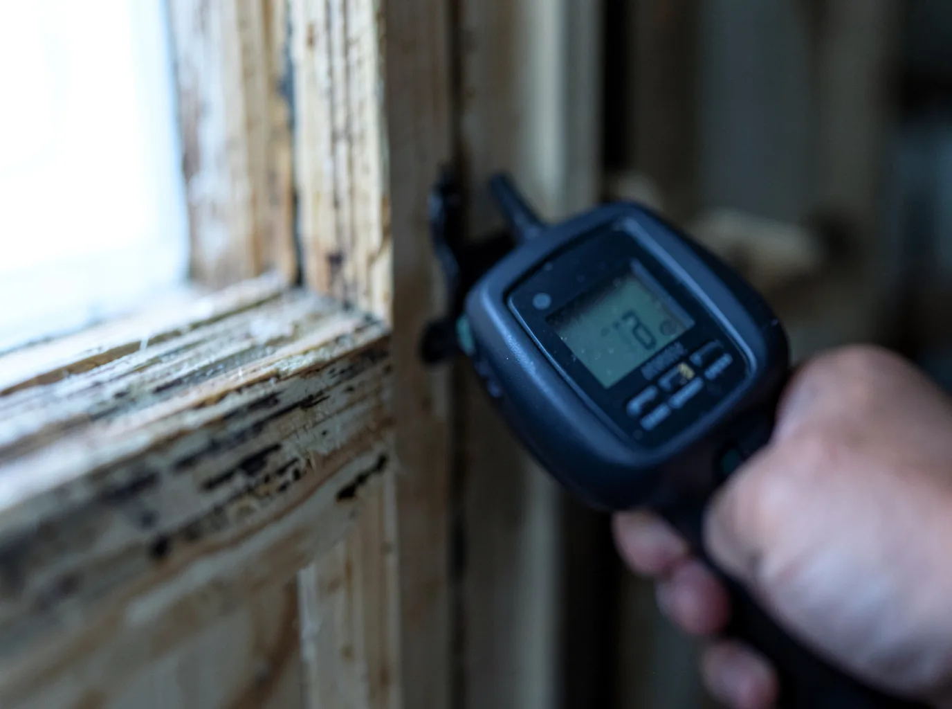 Moisture Inspection And Documentation in Keyport, WA